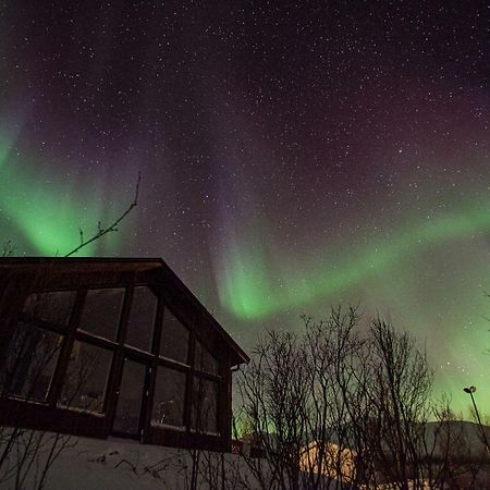 Aurora View Cabin Lyngseidet Екстериор снимка
