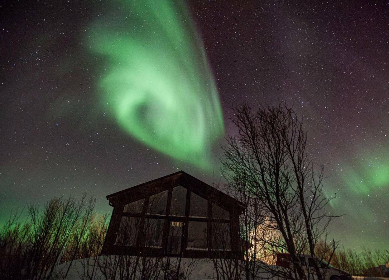 Aurora View Cabin Lyngseidet Екстериор снимка
